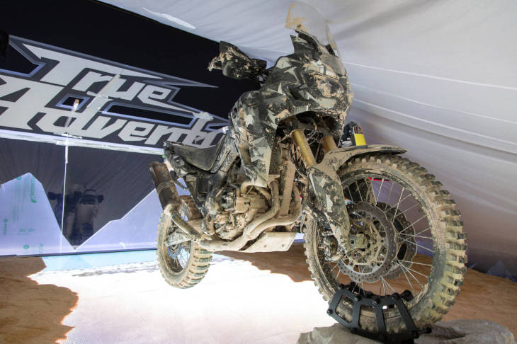 ADV-bottom